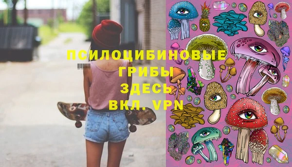 стаф Алексин