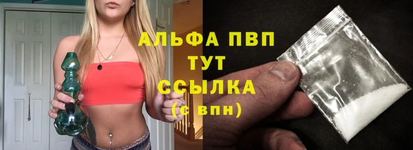 стаф Алексин