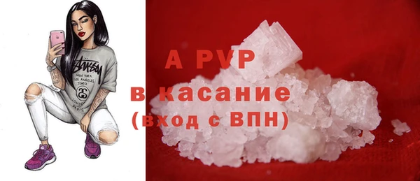 стаф Алексин
