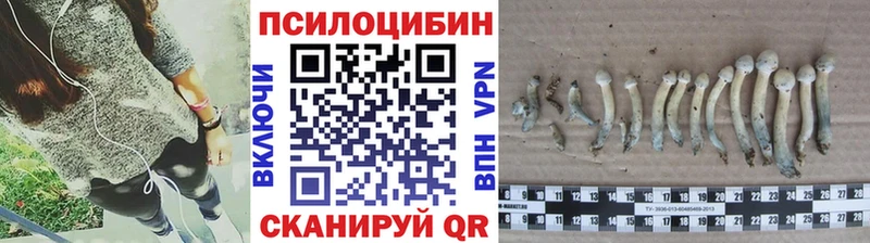 как найти   Томилино  Псилоцибиновые грибы мицелий 
